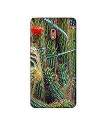 Amazon Brand - Solimo Designer Cactus 3D Printed Hard Back Case Mobile Cover for Nokia 2.1