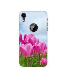 Amazon Brand - Solimo Designer Pink Lily 3D Printed Hard Back Case Mobile Cover for Apple iPhone XR (Logo Cut)