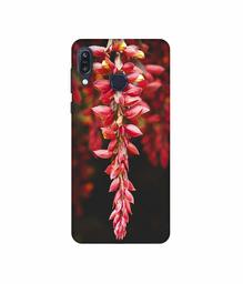 Amazon Brand - Solimo Designer Flowers Photograpy 3D Printed Hard Back Case Mobile Cover for Asus Zenfone Max M1 ZB555KL